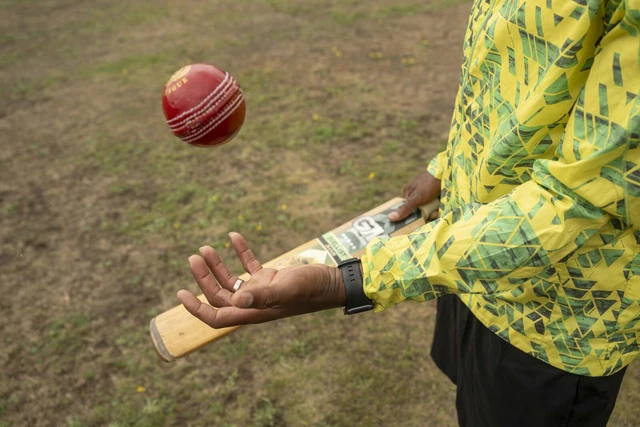 Cricket ball and bat