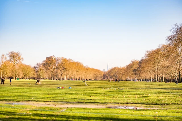 The Pitches at Hyde Park in winter