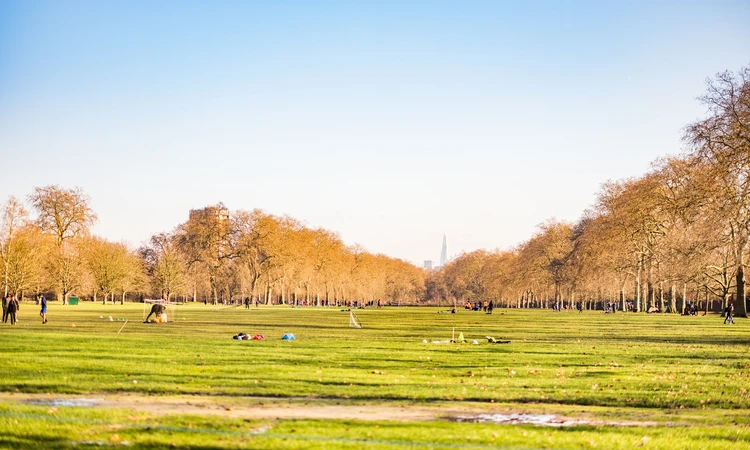 The Pitches at Hyde Park in winter
